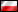 Puentes - Polski